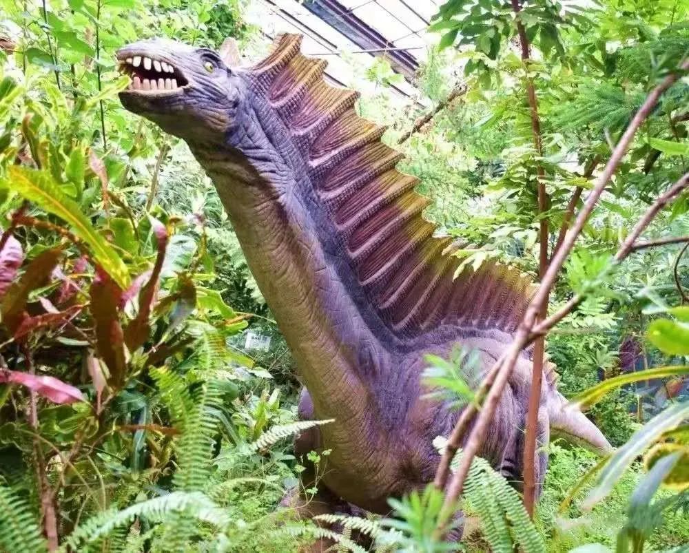 马门溪龙是中国发现的最大的蜥脚类恐龙之一 体躯高将近14米而且脖颈