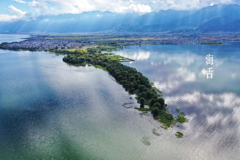 cop15万千风光在大理洱海生态廊道看尽