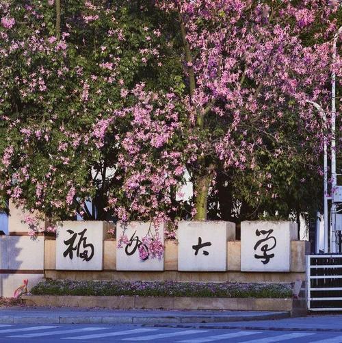 119名大学新生"放鸽子"211高校福州大学,网友:不想上