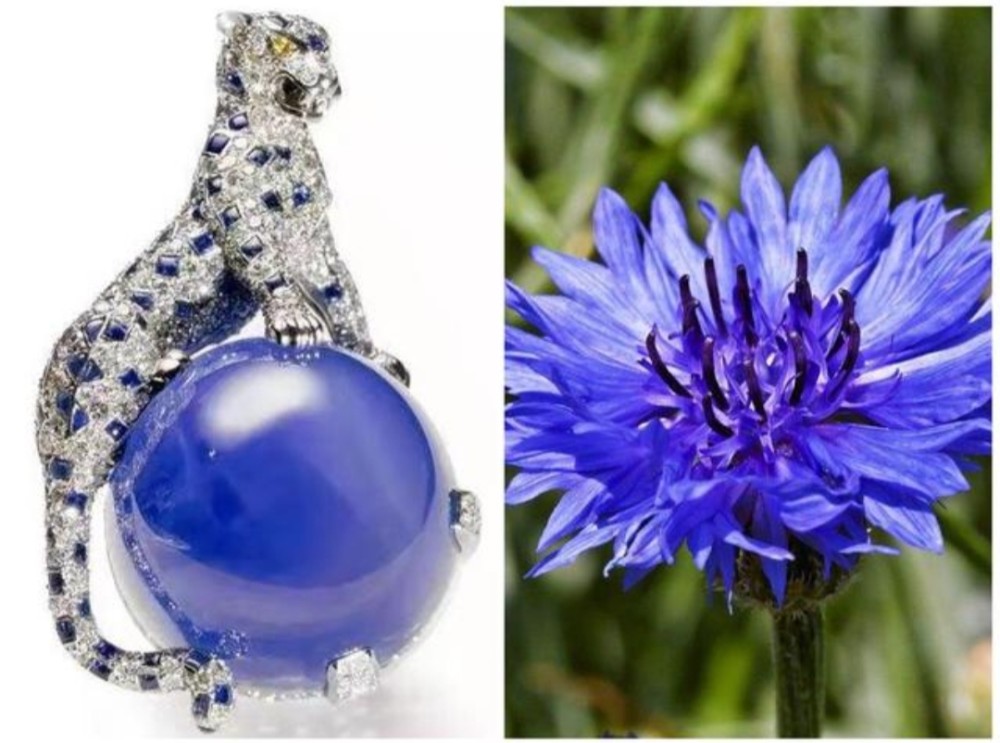 克什米尔蓝宝石—永恒的蓝色传说