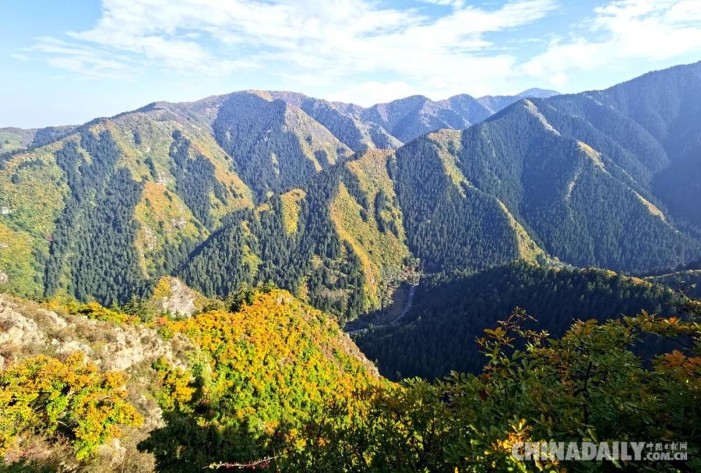 "陇右名山"兴隆山秋景如画