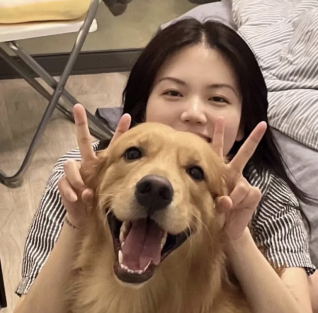 女生头像|少女和狗狗的故事