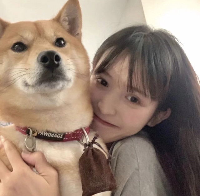 女生头像|少女和狗狗的故事