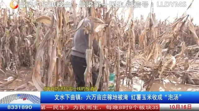 文水下曲镇:六万亩庄稼地被淹 镇村两级积极开展自救