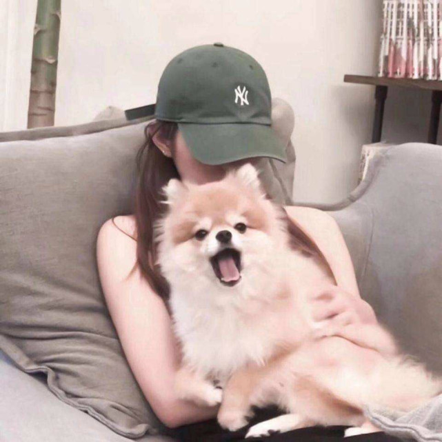 壁纸 动物 狗 狗狗 641_641