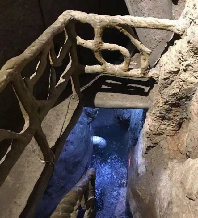 重庆农户家挖出神奇鱼泉,源源不断涌出上百斤鱼,吸引