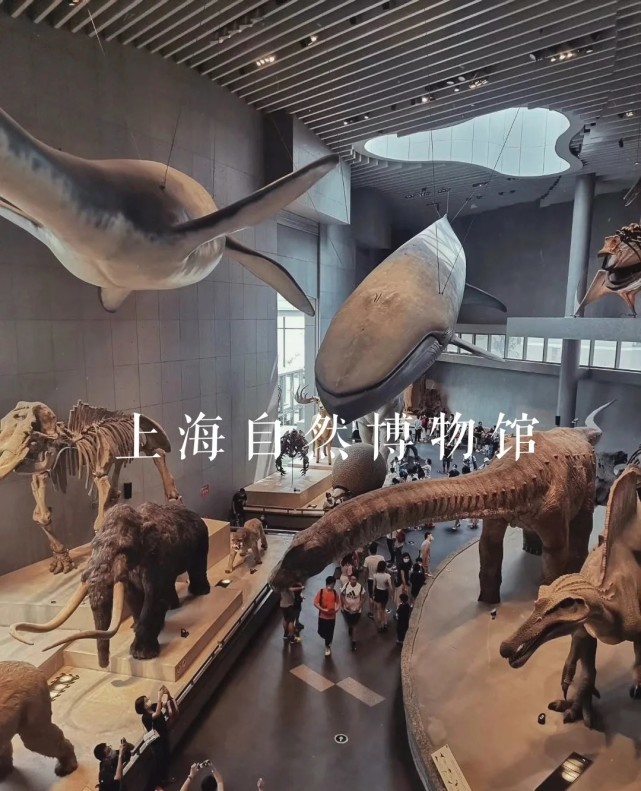 玩转上海:上海自然博物馆|门票|上海自然博物馆|上海