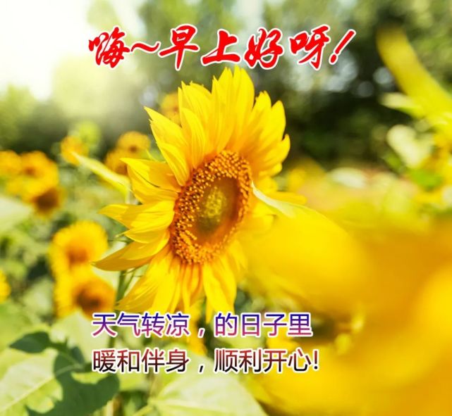 10月19日 早上好!深秋时节,祝愿您幸福健康,平安快乐