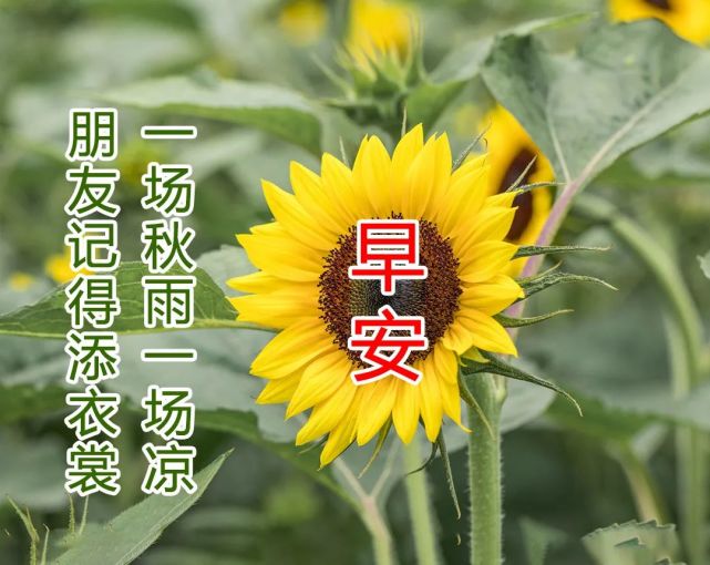 10月19日 早上好!深秋时节,祝愿您幸福健康,平安快乐