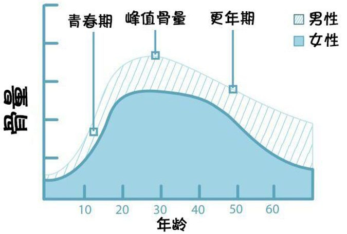 通俗来说,骨质疏松会使骨头变软,变脆,最直观的指标,就是骨密度降低