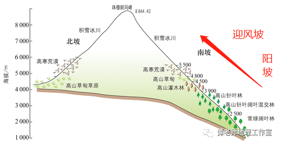 世界主要山地的垂直地带性珠穆朗玛峰山脉的南坡植被带更加丰富1,南坡