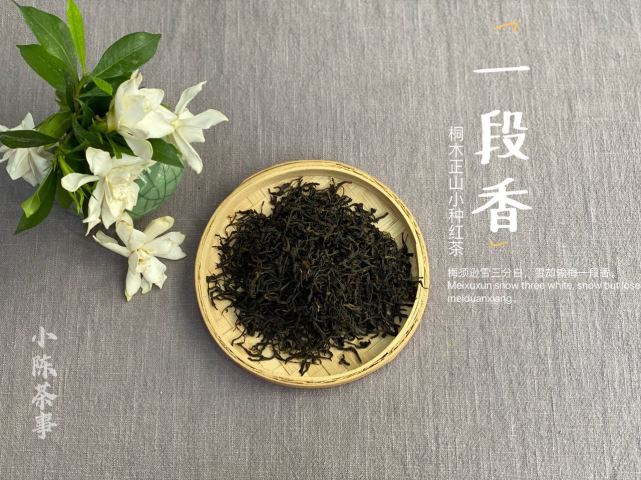 挑选正山小种红茶,6个角度教你分辨"正山",还是"外山"茶?