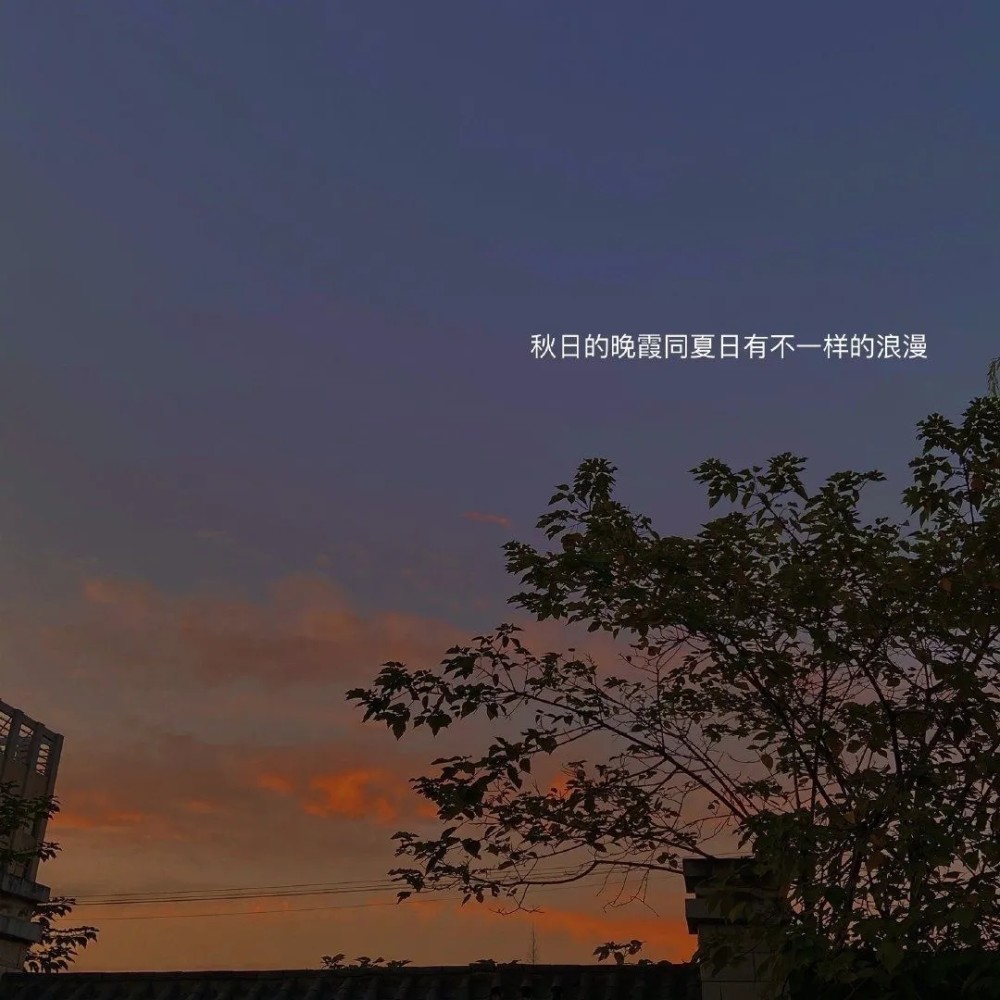 背景图|都是你喜欢的超温柔的风格