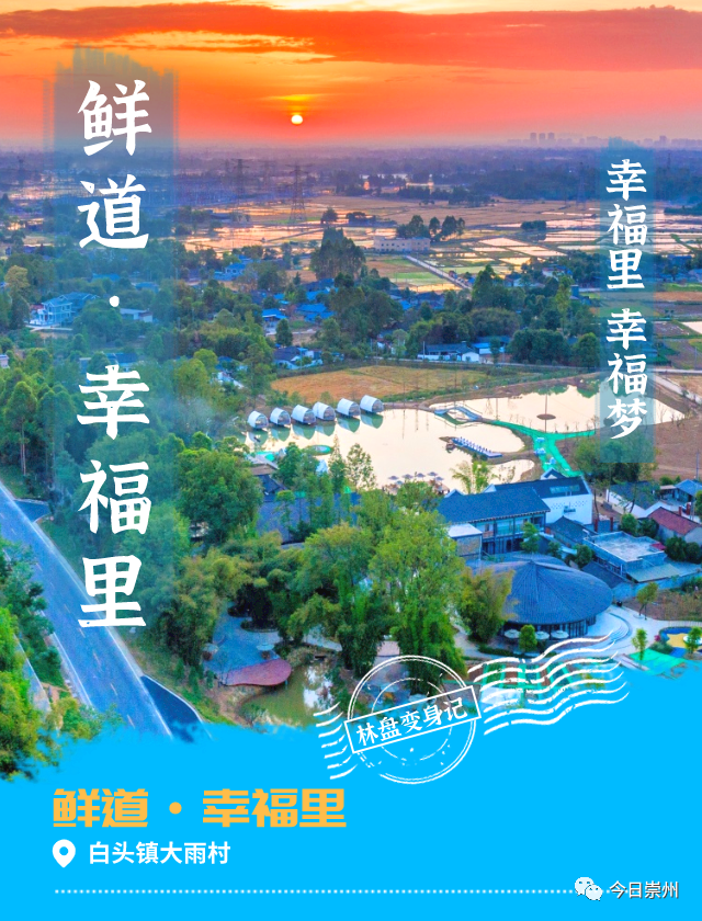 走进乡村看小康从众筹发展起步幸福里林盘的变身记