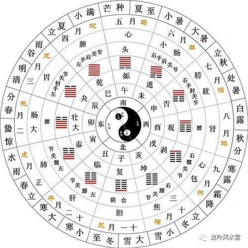 奇门断事取用神法