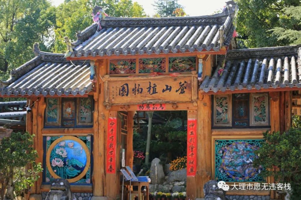 大理苍山植物园:园在花中,花在园里!