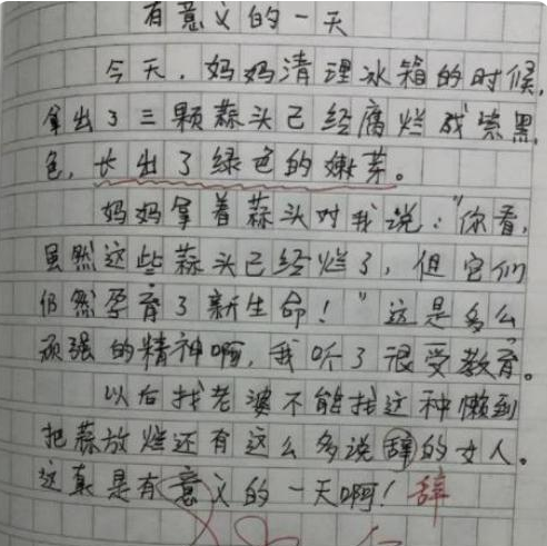 小学生0分作文走红,文中内容有"深意",老师表示墨水分都不给