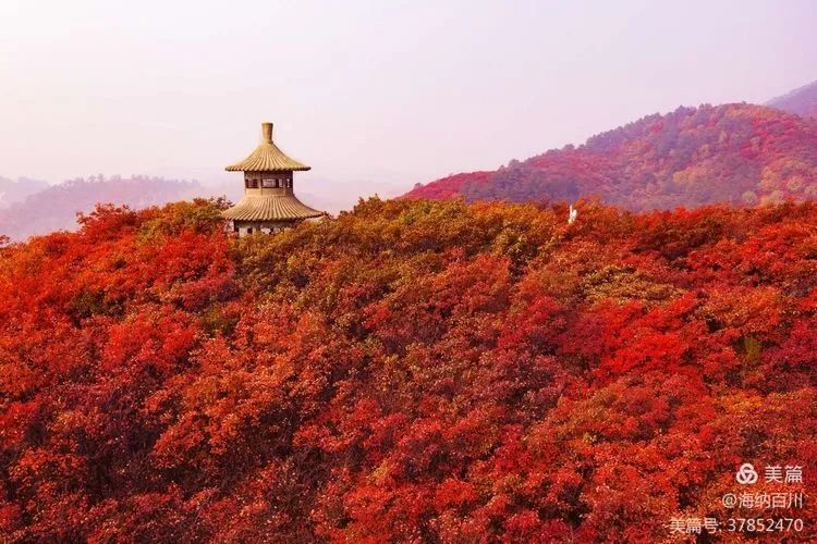 原来桐柏有这么多景点,跟我一起重新认识多彩桐柏