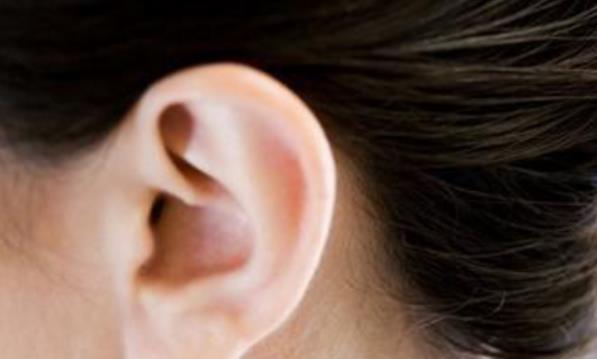刀环耳刀环耳,指的是耳朵的形状轮廓就像是圆环刀的轮廓一般,耳朵的