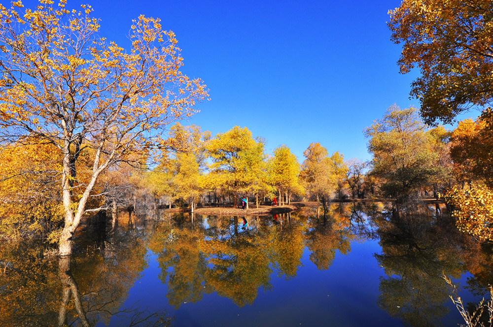 酒泉小众景区有超美秋景,风景让人心旷神怡,诗情画意名气却很小