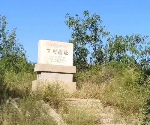 "百年百大考古发现"揭晓!河北阳原泥河湾遗址群在列!