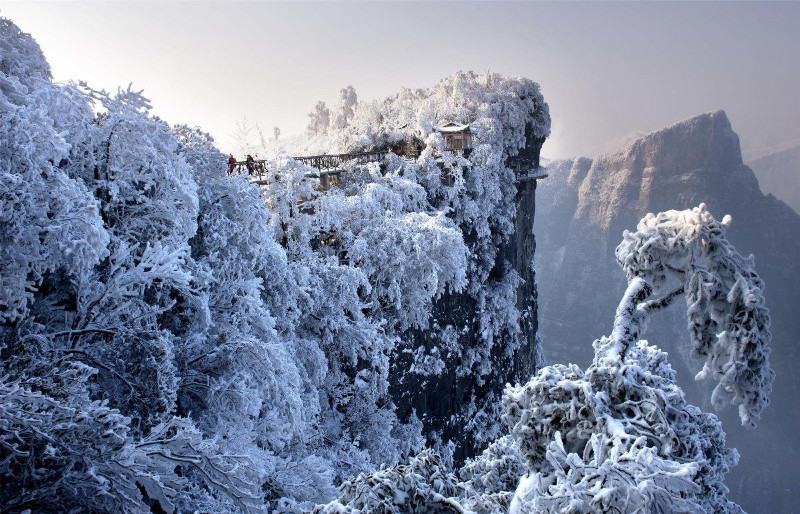 张家界冬天下雪吗?来看看这美丽的雪景