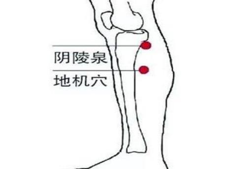 操作:取坐位,双手拇指同时按揉双侧阴陵泉穴,3-5分钟,局部酸胀为度.