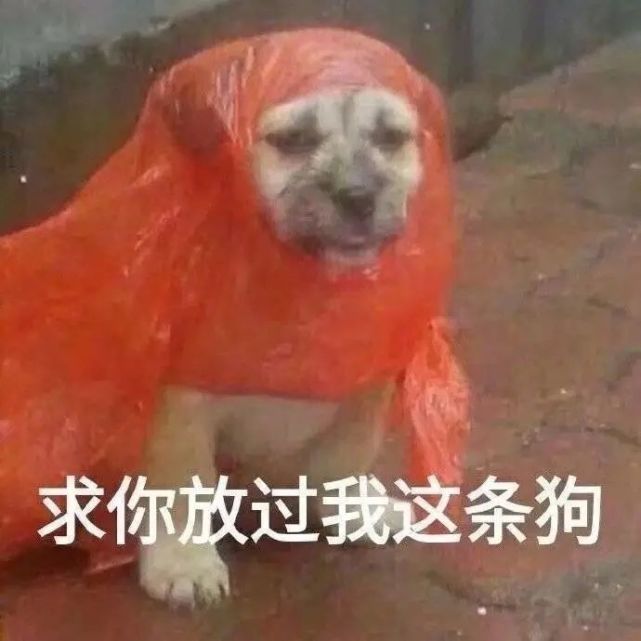 表情包|最佳暖脚方式