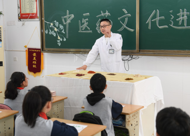 (教育)中医药文化进校园