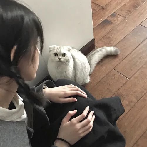 ins小众精致女头