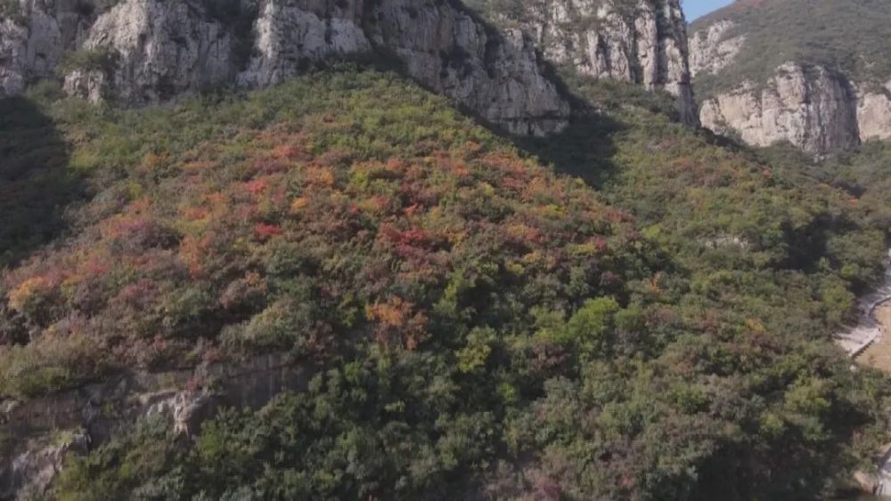 秋意浓赏美景邢台沙河金沙河佛照山一夜秋风迎来醉美时节