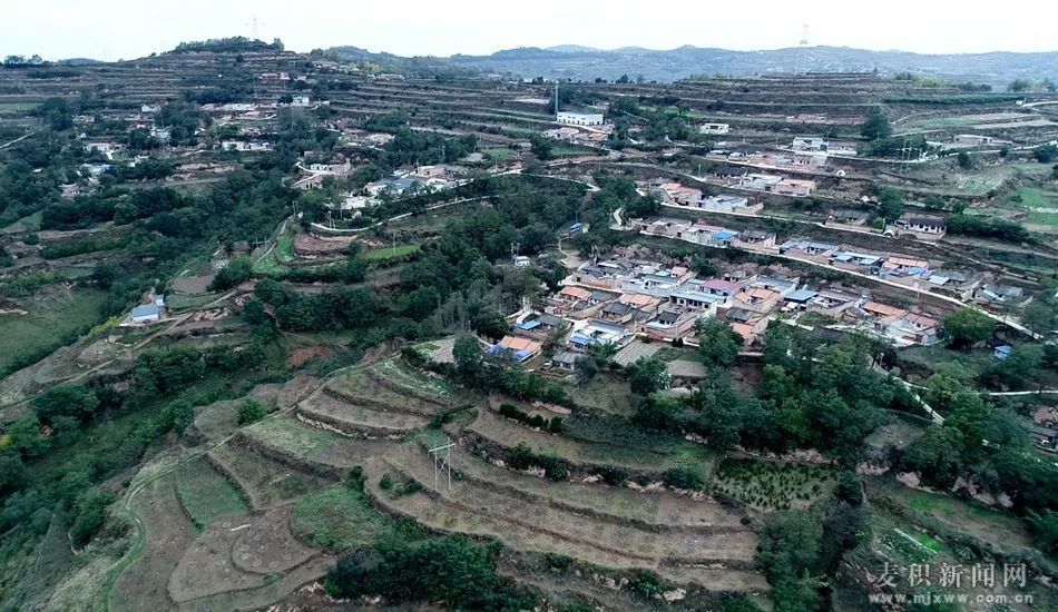 【小康圆梦·看麦积】麦积区五龙镇舍安子村:助农车间助推乡村振兴