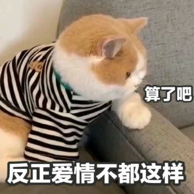 委屈表情合集|我好委屈