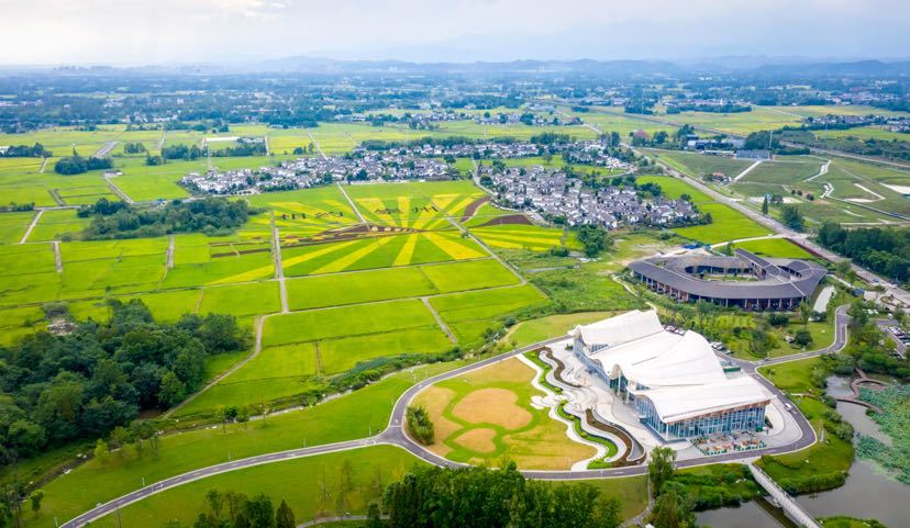 崇州市白头镇五星村