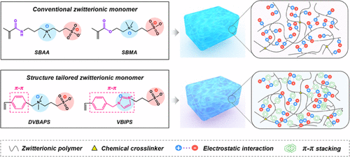 该工作中使用的两性离子单体的化学结构和合成两性离子水凝胶的示意图