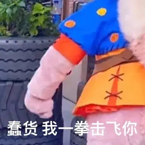 迪士尼丨玲娜贝儿丨表情包