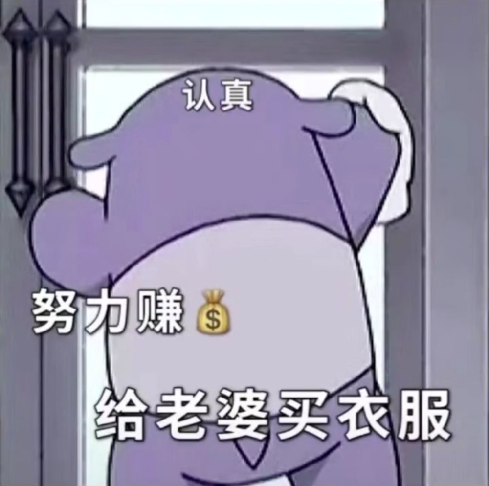 努力赚钱给老婆买衣服丨表情