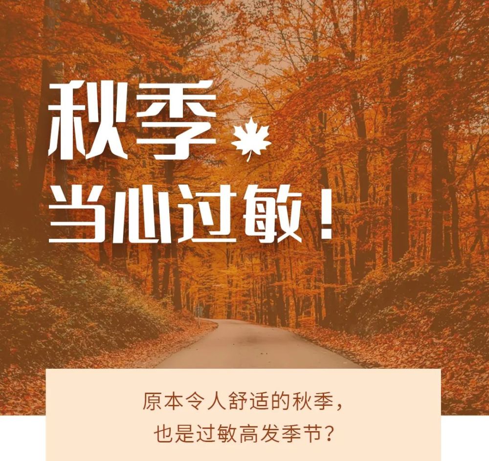 秋季当心过敏