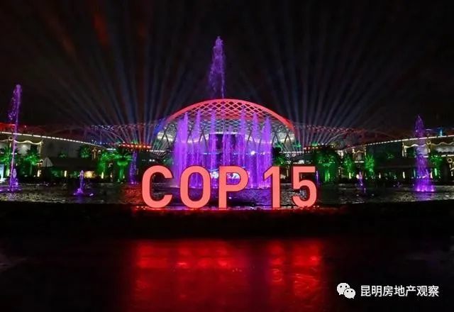 花蕴春城,光绘云南;滇池夜月,灯光熠熠!