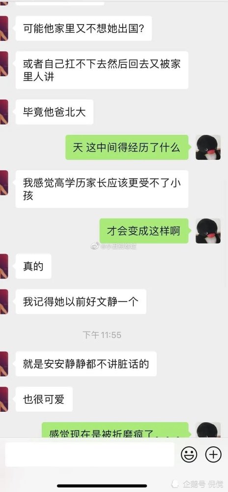 西班牙啃老女留学生魔法猪后续看完你有什么想法