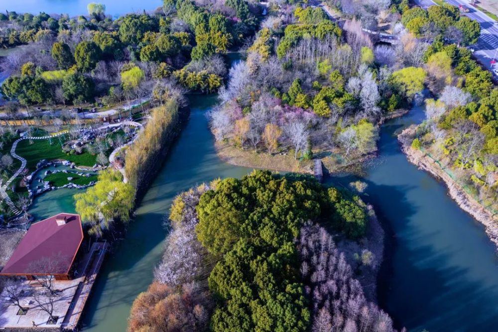 天福国家湿地公园春景