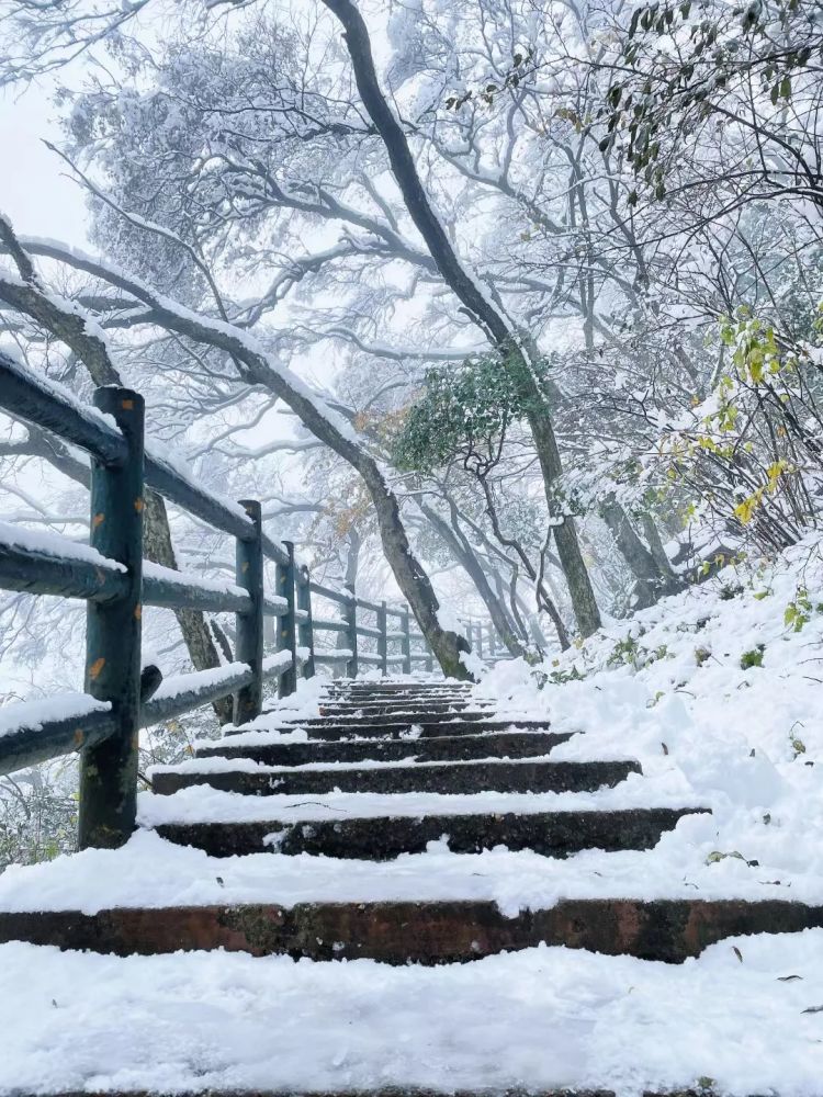 尧山又下雪了!今年秋天第二场雪来的猝不及防