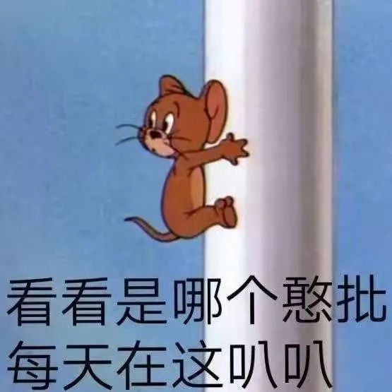 你找不到的猫和老鼠表情包来了二