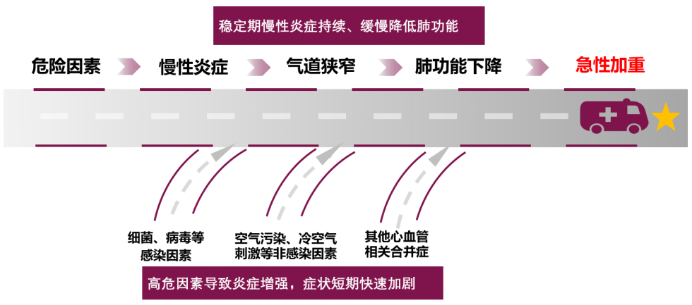 由于慢阻肺气道炎症持续存在,当受到其他高危因素如细菌或病毒等感染