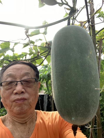 邹昆山专栏傻瓜种瓜