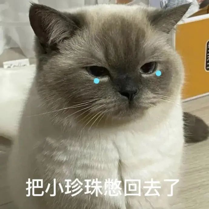微信表情包大全|你很牛吗