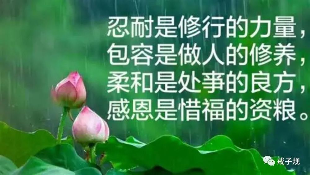 做人要宽容忍耐的一段良言
