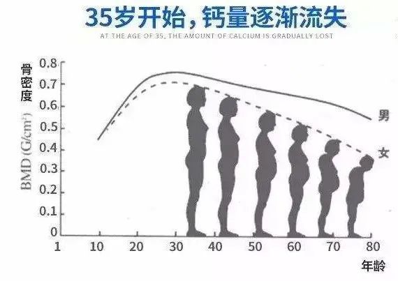 第二个原因,一个人从35岁开时骨钙开始流失.骨钙流失是什么意思?