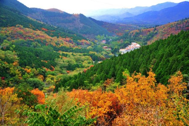 山东秋季旅游景点推荐 莲台山风景区旅游攻略 低音号