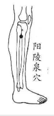 健康一招灵|身体自带七个"止痛开关",痛就按这里!